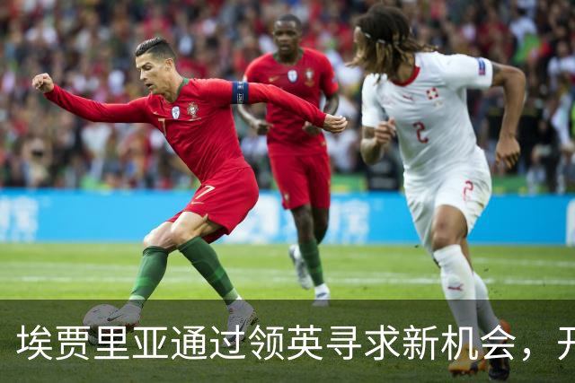埃贾里亚通过领英寻求新机会，开启职业新篇章
